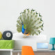 Peacock Wall Decal