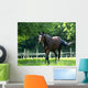 Cheval Wall Decal