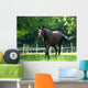 Cheval Wall Decal