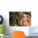 macaws in clay lick in the peruvian Amazon jungle at Madre de Di Wall Decal