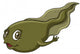 A tadpole Wall Decal