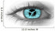 Sguardo nel tempo - A look into the time Wall Decal