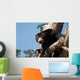 Sloth Bears Wall Decal