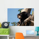 Sloth Bears Wall Decal
