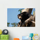 Sloth Bears Wall Decal