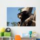 Sloth Bears Wall Decal
