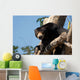 Sloth Bears Wall Decal