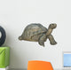 Galapagos Tortoise Wall Decal