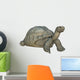 Galapagos Tortoise Wall Decal