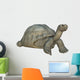 Galapagos Tortoise Wall Decal
