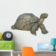 Galapagos Tortoise Wall Decal