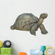 Galapagos Tortoise Wall Decal