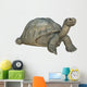 Galapagos Tortoise Wall Decal