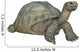 Galapagos Tortoise Wall Decal
