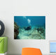 Scuba Diver swimming over a Cayman Island Reef Wall Decal