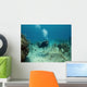 Scuba Diver swimming over a Cayman Island Reef Wall Decal