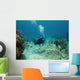 Scuba Diver swimming over a Cayman Island Reef Wall Decal