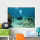 Scuba Diver swimming over a Cayman Island Reef Wall Decal