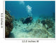 Scuba Diver swimming over a Cayman Island Reef Wall Decal