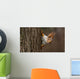Surprised  squirrel, peeking from behind a tree Wall Decal