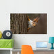 Surprised  squirrel, peeking from behind a tree Wall Decal