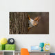 Surprised  squirrel, peeking from behind a tree Wall Decal