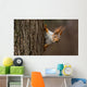 Surprised  squirrel, peeking from behind a tree Wall Decal