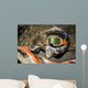 Dirty motorcycle motocross helmet with goggles Wall Decal