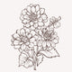 Vector dahlia flower isolated on white background. Element for d Wall Decal
