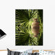 Tropical zen Wall Decal
