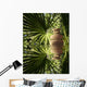 Tropical zen Wall Decal