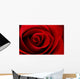 Vibrant Red Rose Close Up Macro - Abstract Wall Decal