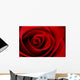 Vibrant Red Rose Close Up Macro - Abstract Wall Decal