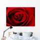 Vibrant Red Rose Close Up Macro - Abstract Wall Decal