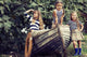 Kids playing Wall Decal