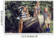 Kids playing Wall Decal