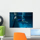 Female swimmer at the swimming pool.Underwater photo. Wall Decal