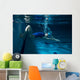 Female swimmer at the swimming pool.Underwater photo. Wall Decal