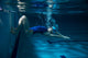 Female swimmer at the swimming pool.Underwater photo. Wall Decal