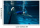 Female swimmer at the swimming pool.Underwater photo. Wall Decal