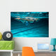Female swimmer at the swimming pool.Underwater photo. Wall Decal