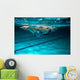 Female swimmer at the swimming pool.Underwater photo. Wall Decal