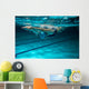 Female swimmer at the swimming pool.Underwater photo. Wall Decal