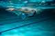 Female swimmer at the swimming pool.Underwater photo. Wall Decal