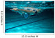 Female swimmer at the swimming pool.Underwater photo. Wall Decal