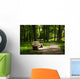 Summer park Wall Decal
