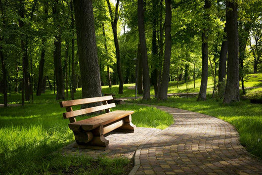 Summer park Wall Decal