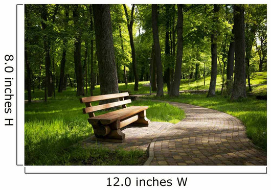 Summer park Wall Decal