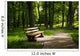 Summer park Wall Decal