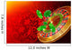 Casino wheel roulette, casino chips and money floating Wall Decal